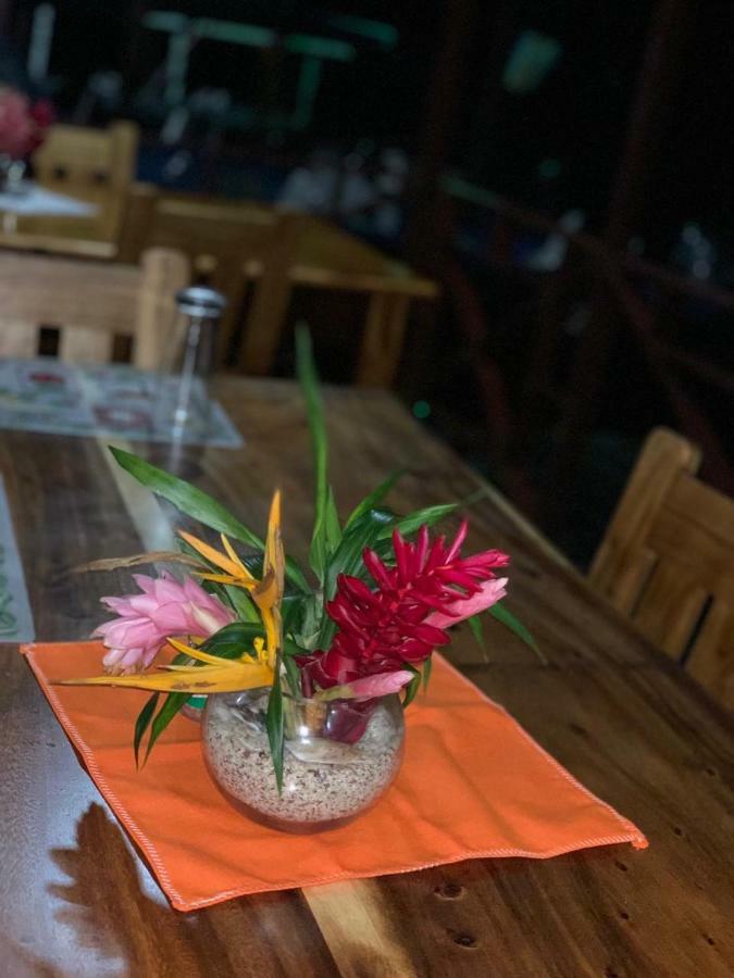 All Rankins Eco-Lodge 托尔图格罗 外观 照片